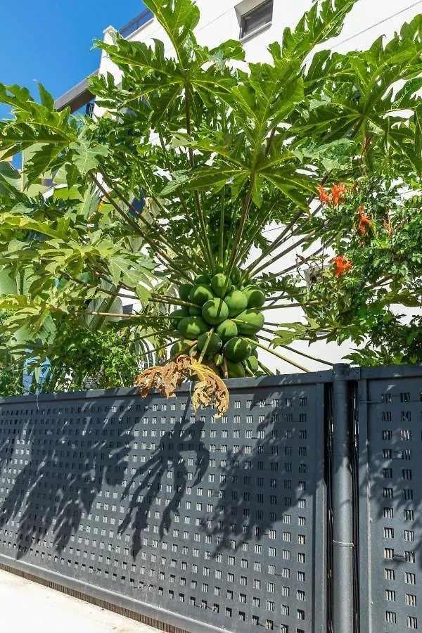 Medano4You The Strelitzia Terrace El Medano  Apartment