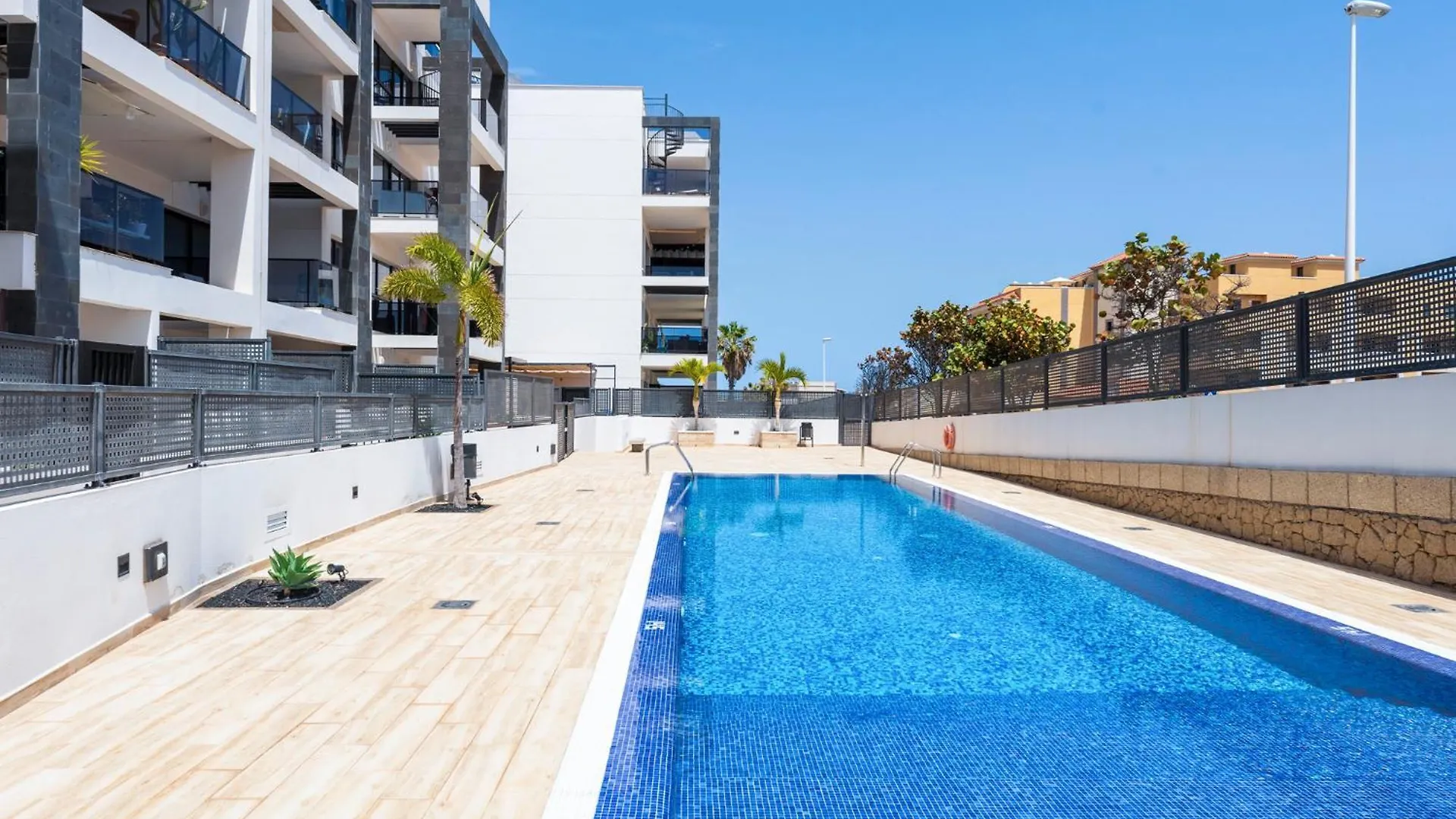 Medano4You The Strelitzia Terrace El Medano